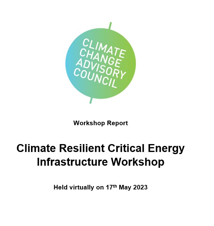Climate Resilient Critical Energy Infrastructure Workshop